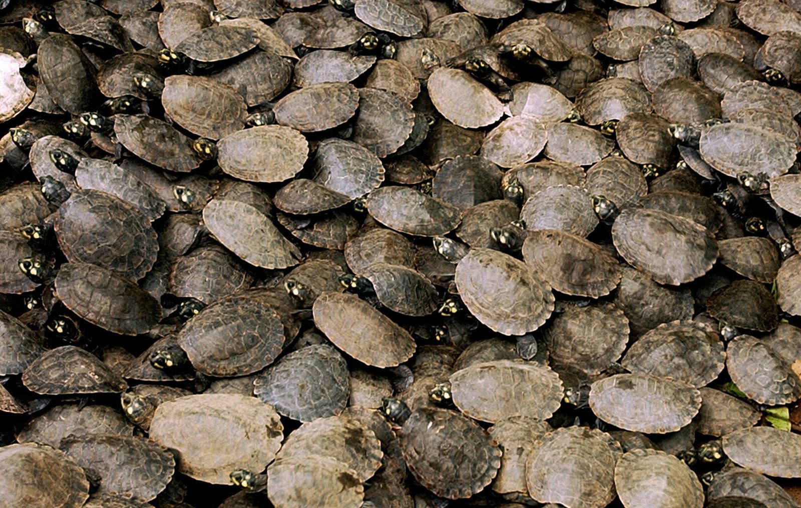 Venezuela inaugura un centro de formación de guardaparques para jóvenes