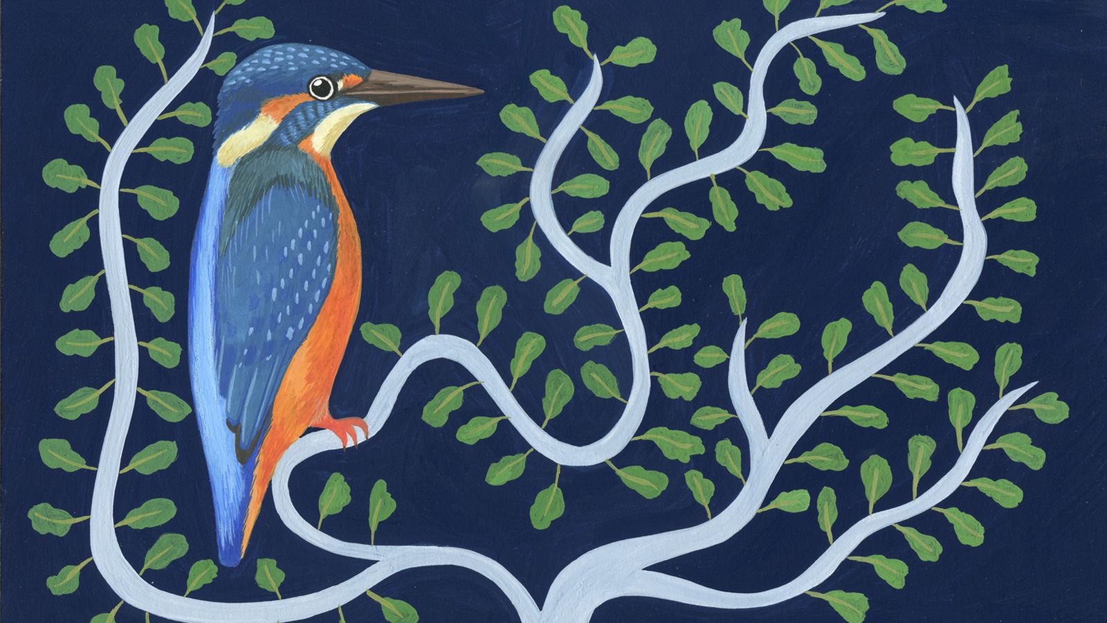 nouvelle image  1617522