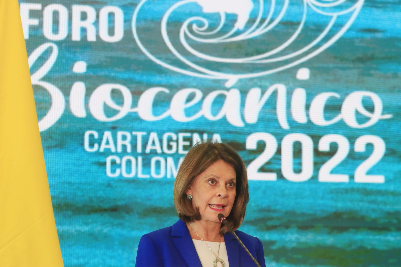 El desarrollo sostenible de océanos, prioridad del foro de países bioceánicos